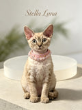 Aura Paws™ 'Unconditional Love' Rose Quartz & Aquamarine Energetic Syncing Pet Set