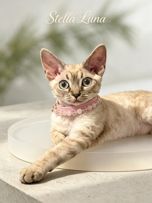 Aura Paws™ 'Unconditional Love' Rose Quartz & Aquamarine Energetic Syncing Pet Set